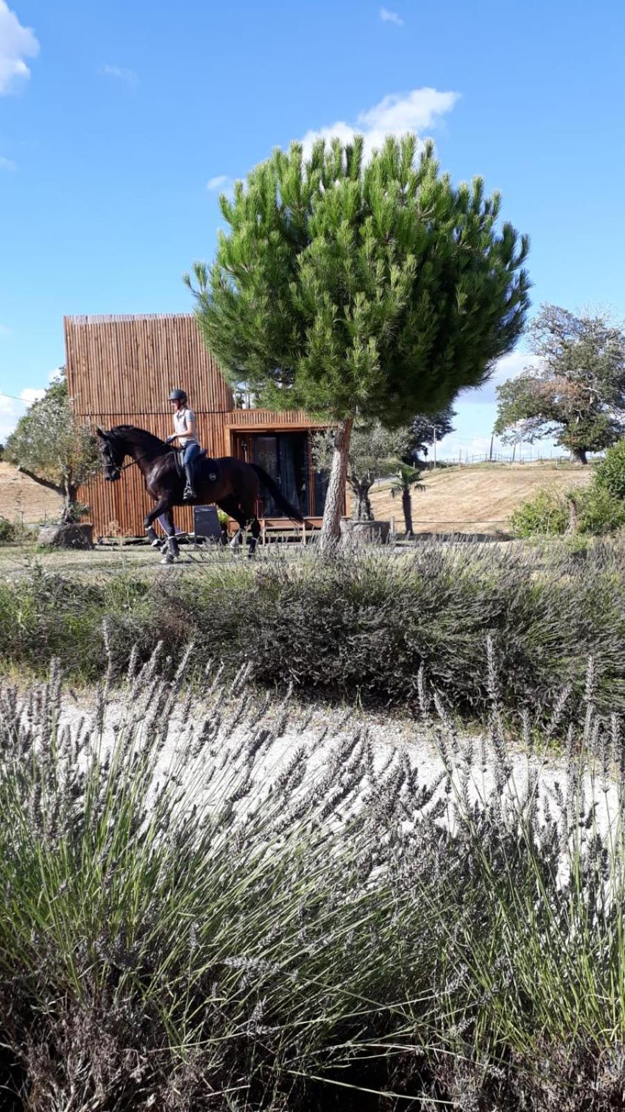 Manege De La Chapiniere - Dadaloge Tiny-House Villa Chateauvieux  ภายนอก รูปภาพ
