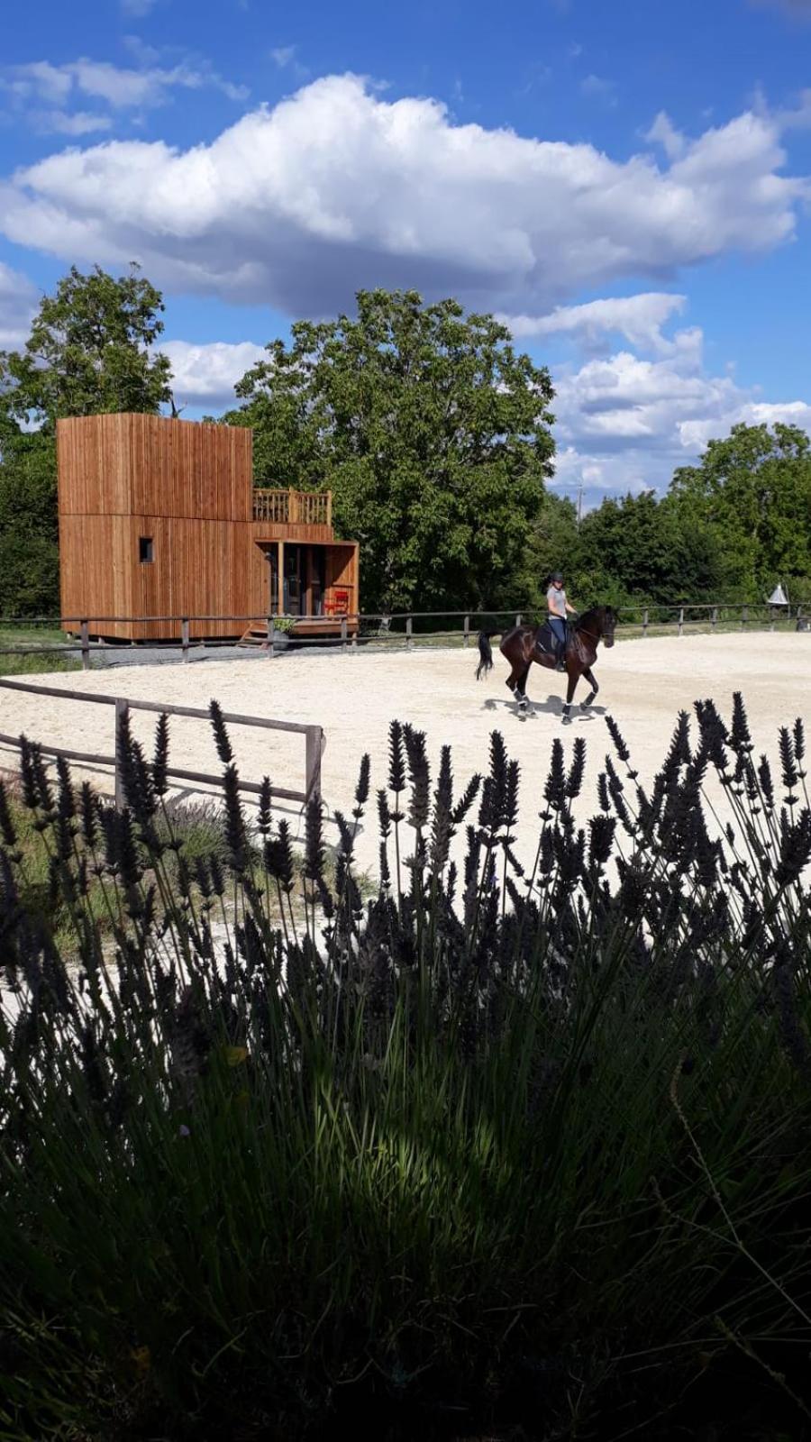 Manege De La Chapiniere - Dadaloge Tiny-House Villa Chateauvieux  ภายนอก รูปภาพ