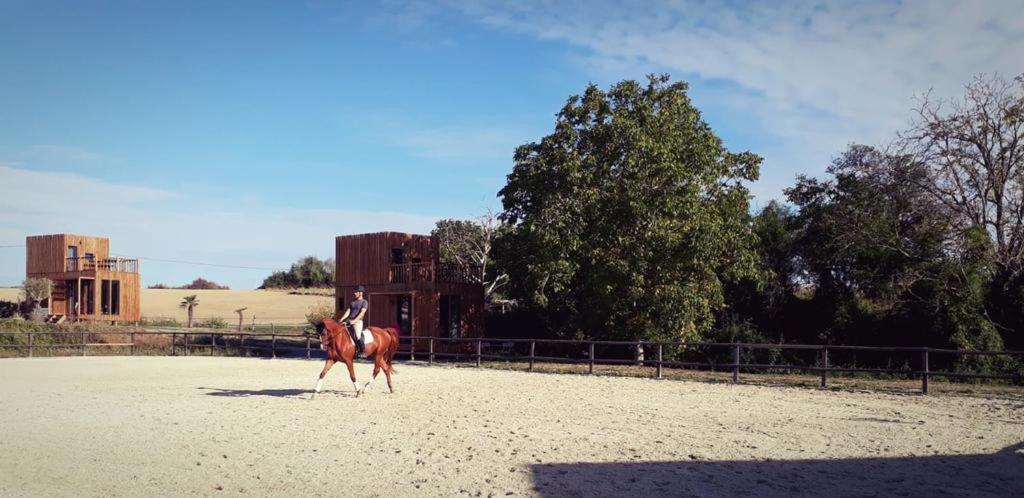 Manege De La Chapiniere - Dadaloge Tiny-House Villa Chateauvieux  ภายนอก รูปภาพ