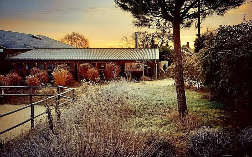 Manege De La Chapiniere - Dadaloge Tiny-House Villa Chateauvieux  ภายนอก รูปภาพ