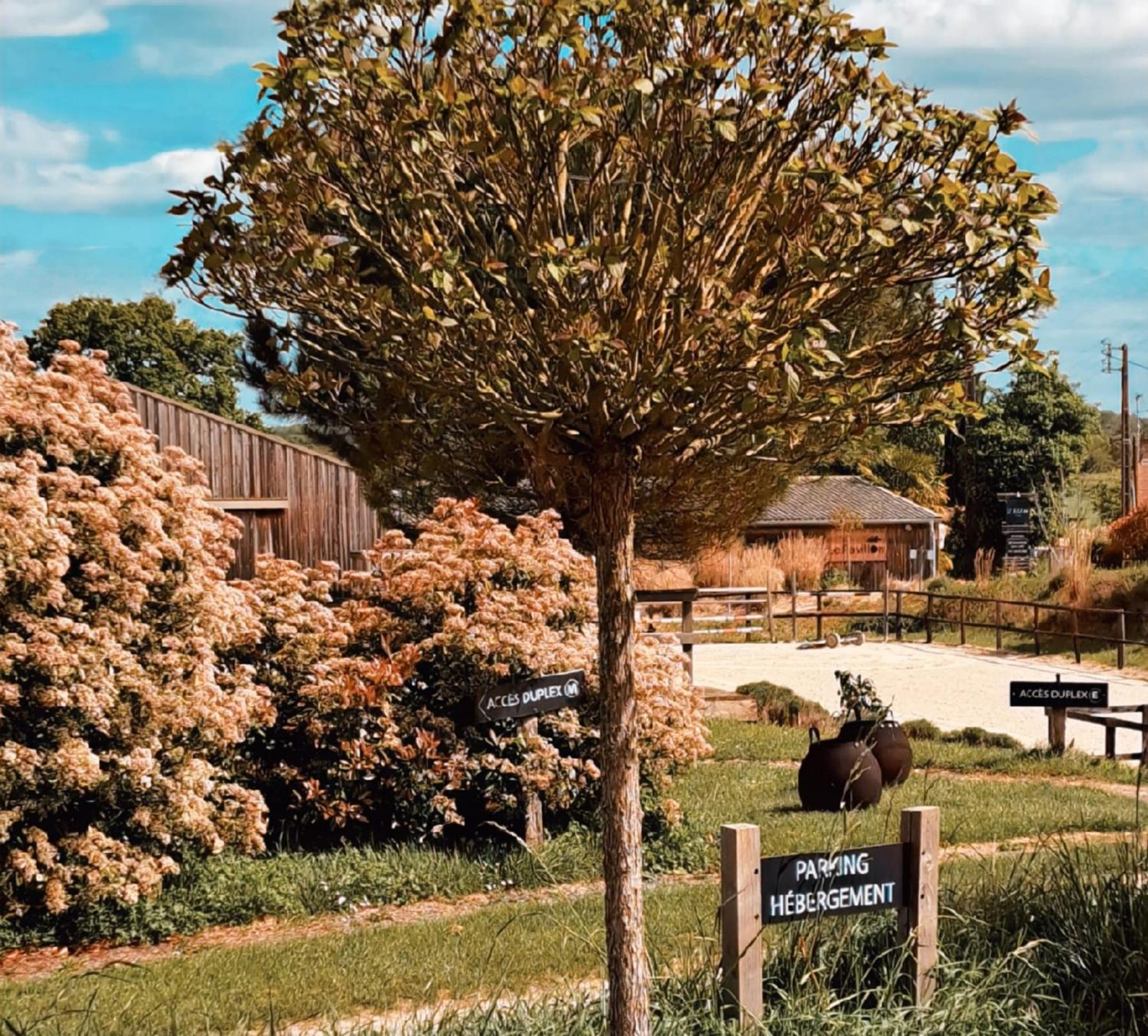 Manege De La Chapiniere - Dadaloge Tiny-House Villa Chateauvieux  ภายนอก รูปภาพ