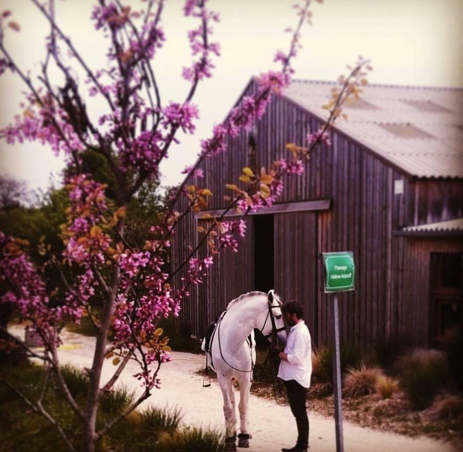Manege De La Chapiniere - Dadaloge Tiny-House Villa Chateauvieux  ภายนอก รูปภาพ